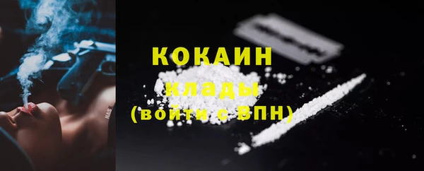 дмт Лиски