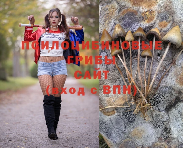 дмт Лиски